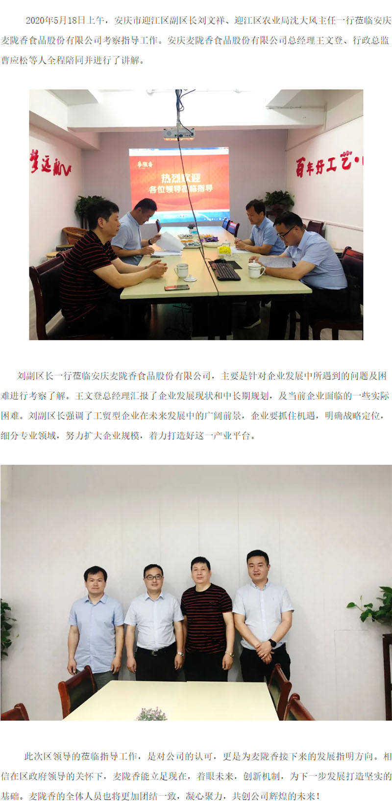 迎江區(qū)人民政府領(lǐng)導(dǎo)蒞臨我公司考察指導(dǎo)工作